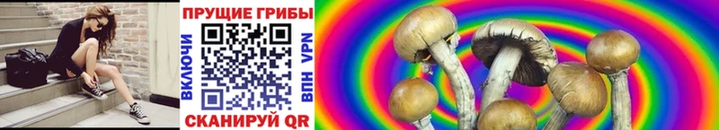 Галлюциногенные грибы MAGIC MUSHROOMS  hydra как зайти  Железноводск 